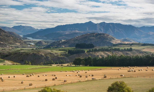 Jižní ostrov, Nový Zéland — Stock fotografie