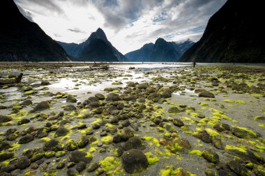 South Island Yeni Zelanda manzara