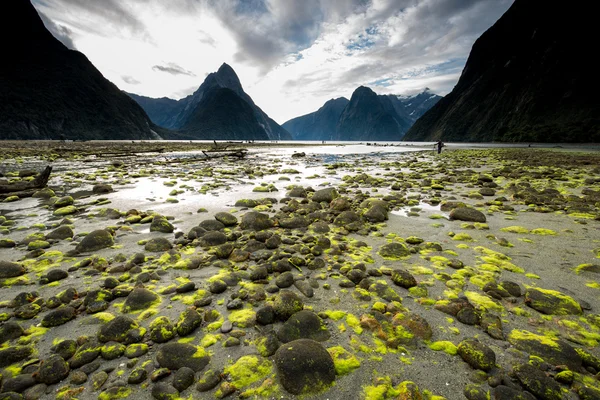 South Island Yeni Zelanda manzara — Stok fotoğraf