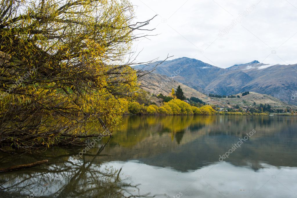 landscape of South island in New Zealand