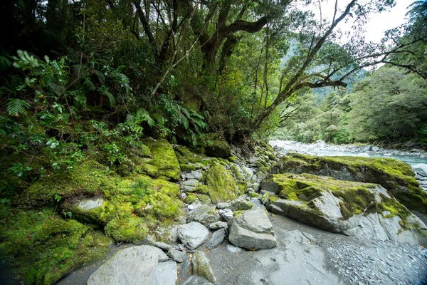 Rio de montanha e rochas — Fotografia de Stock