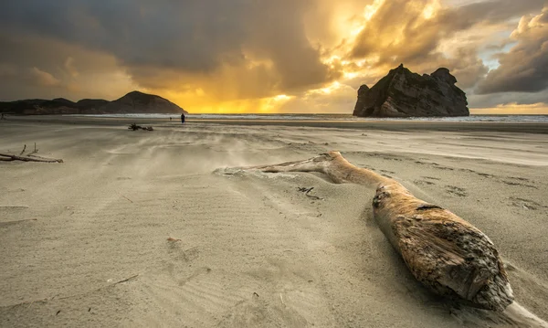 Wharaki beach, Nova Zelândia — Fotografia de Stock