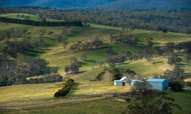 Oberon, Merkezi tablelands binada