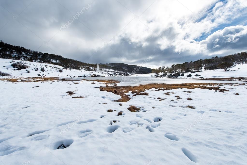 Snow moutains in Kosciuszko National Park