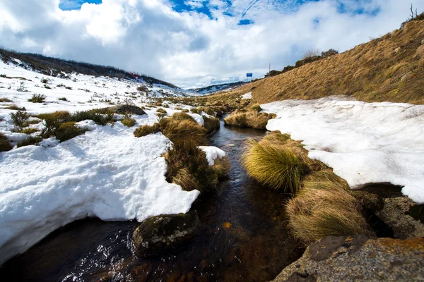 雪深山康复后国家公园 — 图库照片