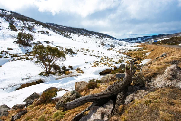 Górach śnieg w regionie Kosciuszko National Park — Zdjęcie stockowe