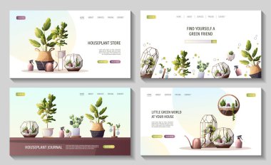 Ev bitkilerinin toplandığı web sayfaları. Floraryum, ev bahçesi, sera, bahçıvanlık, saksı bitkisi konsepti. Poster, afiş, web sitesi için vektör illüstrasyonu.