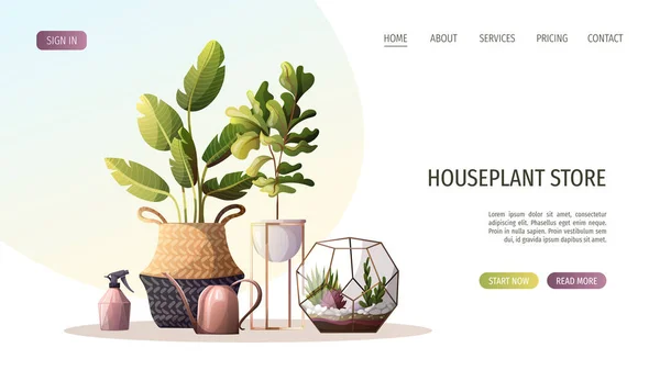 Collection Houseplants Florarium Home Garden Greenhouse Gardening Plant Lover Concept — Stock Vector