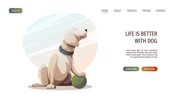 Retriever Dog Sitting Ball Cartoon Style Pet Dog Walk Concept — Stock Vector