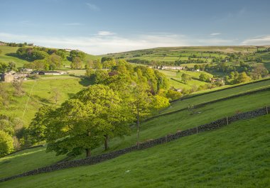 Yorkshire Dales içinde yeşillik
