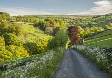 Yorkshire ülke lane yaz aylarında