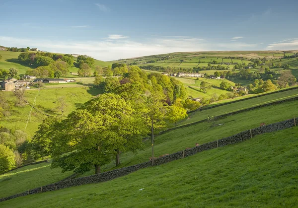 La verdure dans les Yorkshire Dales — Photo