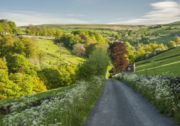 Yorkshire country lane in estate — Foto Stock