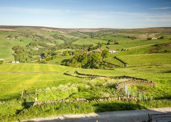 Vale de yorkshire dales Imagens Royalty-Free