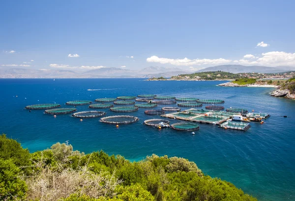 Fazenda de mar na ilha grega de corfu — Fotografia de Stock