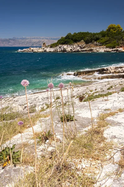 Rugged Greek coastline — Stock Photo, Image