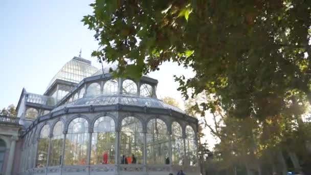 Silny Wiatr Wieje Liście Glass Palace Crystal Palace Retiro Park — Wideo stockowe