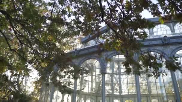 Stark Vind Blåser Mot Bladen Glass Palace Crystal Palace Retiro — Stockvideo