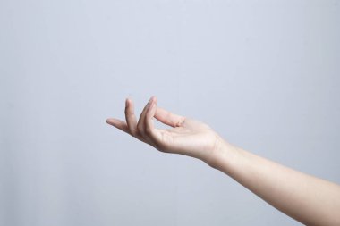 El, beyaz arka planda izole edilmiş. El hareketleriyle kadın elini kaldırır Tamam, evet, el işaretini kabul eder, stüdyo izole edilir                               