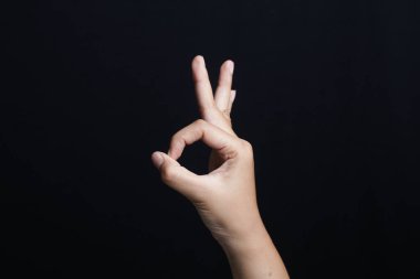 Tamam, el işaretini kabul ediyorum. Stüdyo izole edildi.                               