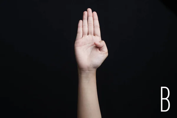 Fingerspelling alphabet. Female hands isolated on black background showing deaf mute BSL alphabet letter B