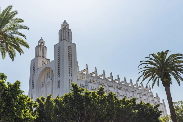 De buitenkant van de casablanca kathedraal met boom Stockafbeelding