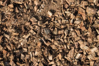 Hindistan cevizi kabuğu tarım için yığını