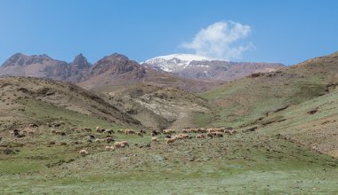 Koyun sığır atlasında Vadisi