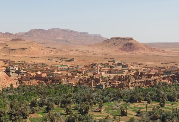De landbouw op foothill in Tinghir stad, Marokko — Stockfoto