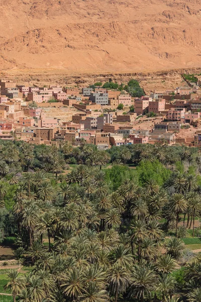 L'agricoltura ai piedi della città di Tinghir, Marocco — Foto Stock