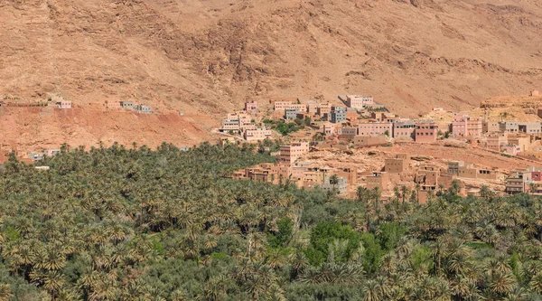 De landbouw van palm bij foothill in Tinghir stad, Marokko — Stockfoto