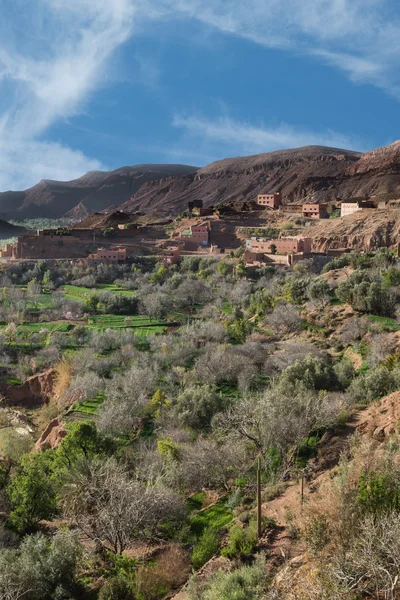 The agriculture in Gorges du Dades city, Morocco — Stock Photo, Image