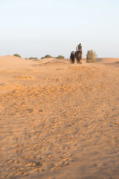 Das asiatische touristenritt kamel in sahara wüste — Stockfoto