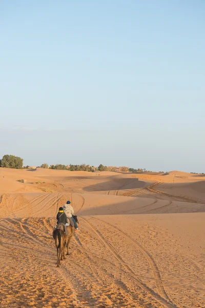Asiatiska turist rida kamel i Saharaöknen — Stockfoto