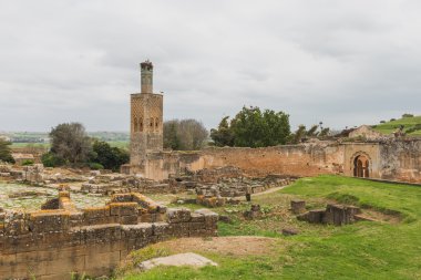 Üst kısmında hangi dünya Chellah kulede leylek yuvası