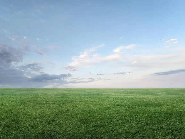 Yeşil Çimen Alanının Panoramik Görüntüsü Kopyalanmış Bulutlu Gökyüzü — Stok fotoğraf