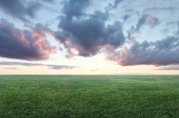 Panoramatický Obraz Zeleného Trávníkového Pole Zatažené Oblohy Kopírovacím Prostorem — Stock fotografie