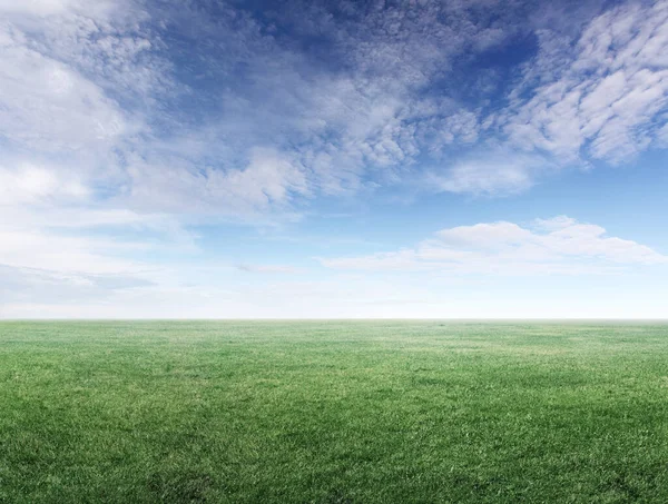 Panoramiczny Obraz Pola Zielonej Trawy Zachmurzone Niebo Przestrzenią Kopiowania — Zdjęcie stockowe