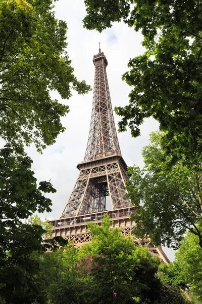 Vista de la Torre Eiffel a través de árboles verdes de verano — Foto de Stock
