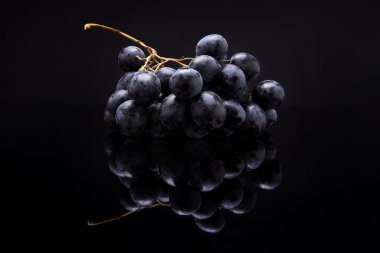 Closeup image of black grapes on black background with reflectio clipart