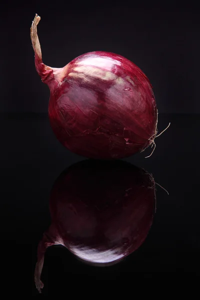 Closeup image of red onion on black background with reflection — Stock Photo, Image