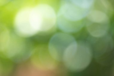 Manzara üzerine yumuşak odak ışığı parlayan ışınlar soyut pastel ağaç yaprakları orman manzarası