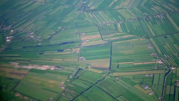 Beautiful Aerial European Green Land Seen Airplane Window Airplane Amsterdam — Stock Video