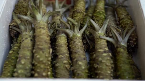 Merchants Venta Wasabi Famoso Mercado Pescado Tsukiji Zona Alrededor Del — Vídeo de stock