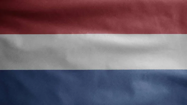 Nederlandse Vlag Wapperend Wind Close Van Nederlandse Spandoek Blazen Zacht — Stockfoto