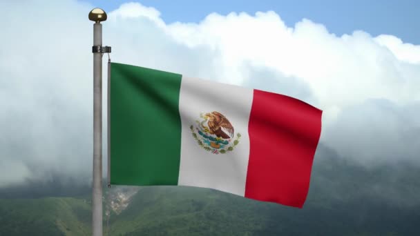 Мексиканский Флаг Размахивающий Ветру Голубым Небом Облаками Мексиканский Баннер Мягкий — стоковое видео