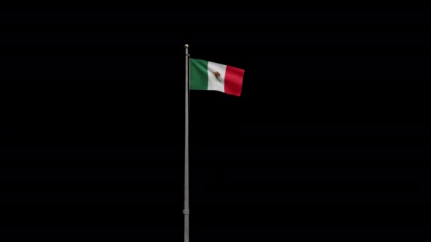Kanał Alfa Meksykańskiej Flagi Falujący Wietrze Blisko Meksykański Sztandar Dmuchanie — Wideo stockowe