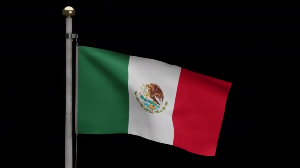 Canal Alfa Bandera Mexicana Ondeando Con Viento Primer Plano Bandera — Vídeo de stock