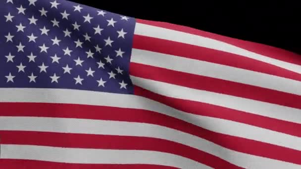 美国国旗在风中飘扬的阿尔法通道 透明的美国国旗飘扬 柔软光滑的丝绸 布料质地为背景图案 将其用于国庆和国庆的概念 — 图库视频影像