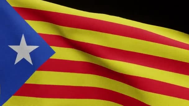 Alpha Channel Catalonia Independent Flag Waving Wind Catalan Estelada Banner — Stock Video
